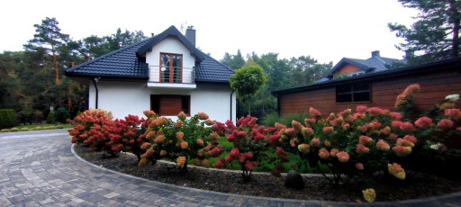 Zdjęcie oferty: Dom, Międzyborów, Jaktorów (gm.), 156 m²