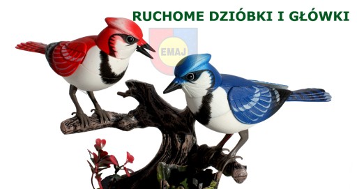 ŚPIEWAJĄCE PTASZKI KOLOROWE NA RUCH E0110 EMAJ