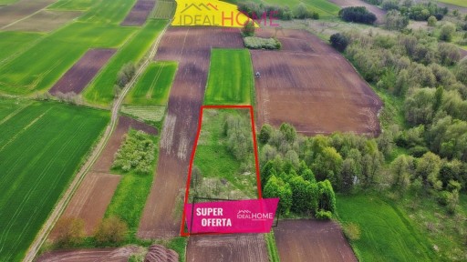 Zdjęcie oferty: Działka, Wysoka, Łańcut (gm.), 3900 m²