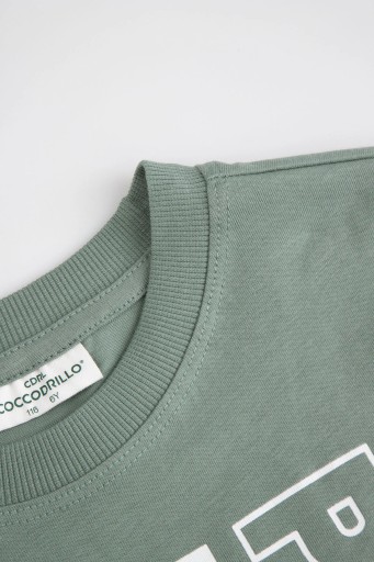 Koszulka Dziecięca T-Shirt Chłopięca POKEMON Prezent 092 Coccodrillo WC6