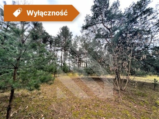 Zdjęcie oferty: Działka, Bydgoszcz, Kapuściska, 32805 m²