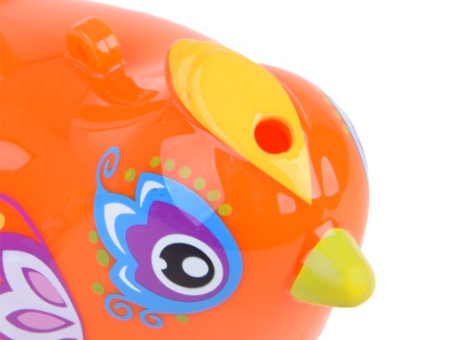 Ptaszek GWIZDEK WODNY PTAK Water BIRD BIRDS ZA1483