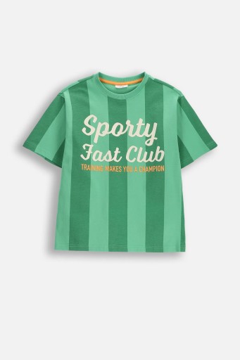 Koszulka Dziecięca T-Shirt Chłopięca Bawełna w Paski 134 Coccodrillo WC6