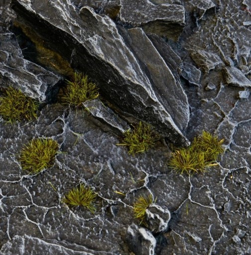 GamersGrass Tiny Dark Moss 2mm
