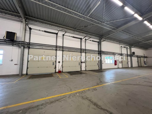 Zdjęcie oferty: Magazyny i hale, Toruń, 1470 m²