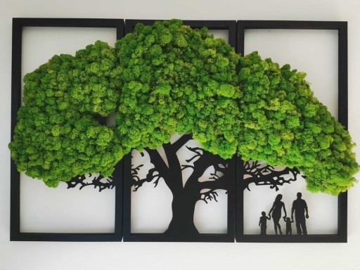 Zdjęcie oferty: Mech chrobotek drzewo żywy obraz! 58×90 cm tryptyk