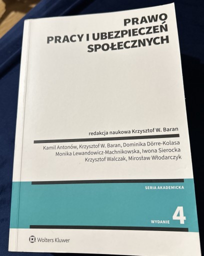 Zdjęcie oferty: Prawo pracy i ubezpieczeń społecznych