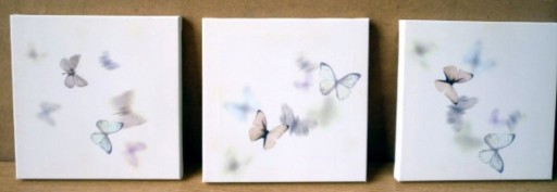 Zdjęcie oferty: Obrazki na płótnie motylki