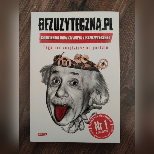 Zdjęcie oferty: "Bezużyteczna.pl"