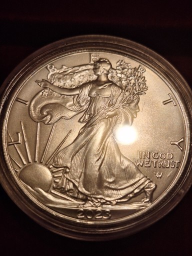 Zdjęcie oferty: Srebrna Moneta. Amerykański orzeł. LIBERTY