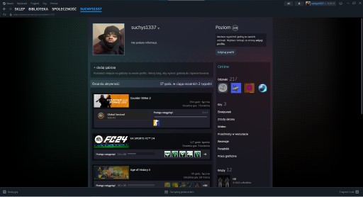 Zdjęcie oferty: K.O.N.T.O STEAM 109LVL SPORO GIER