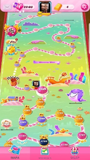 Zdjęcie oferty: Candy  Crush saga level 4804