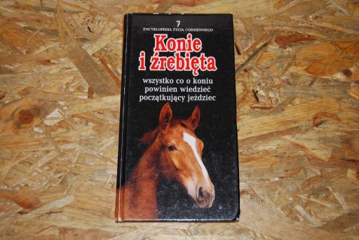 Zdjęcie oferty: Konie i źrebięta. dorota Modlińska.