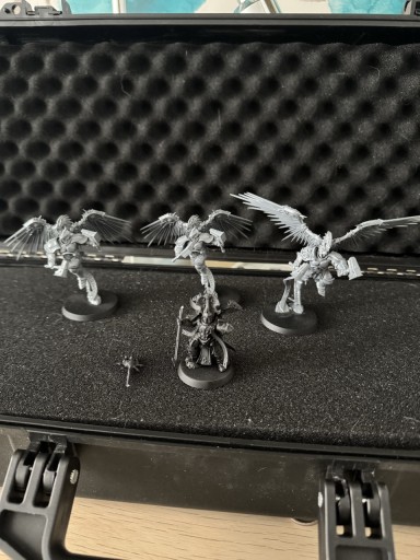 Zdjęcie oferty: Zestaw Stormcast Eternals (Prosecutors) z walizką kolekcjonerską