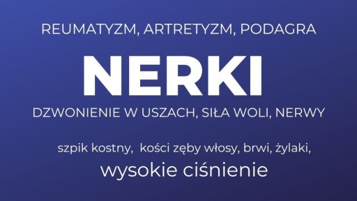 Zdjęcie oferty: Nerki WSZYSTKO co musisz WIEDZIEĆ! dla ZDROWIA 3cz