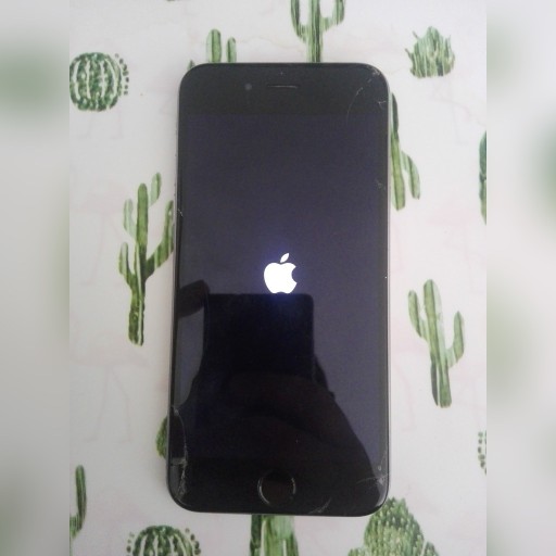 Zdjęcie oferty: iPhone 6s