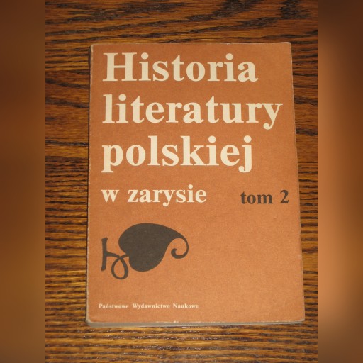 Zdjęcie oferty: Historia literatury polskiej w zarysie - tom 2
