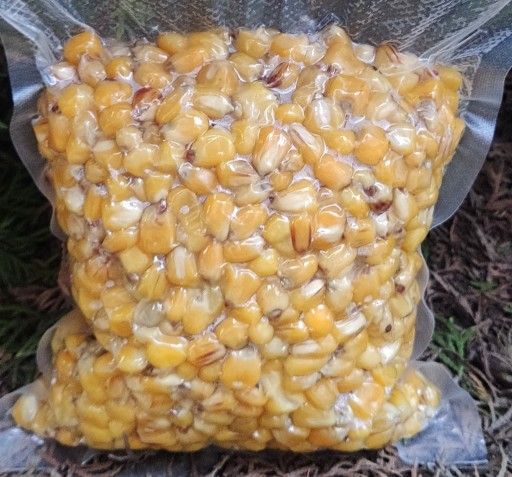 Zdjęcie oferty: Kukurydza Scopex 1kg wędkarska zanęta gotowana