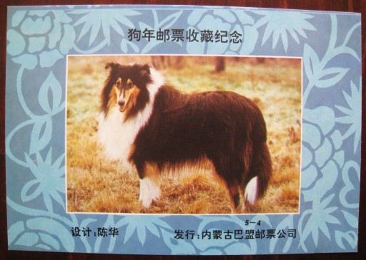 Zdjęcie oferty: Nowodruk Chiny pies