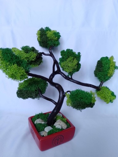 Zdjęcie oferty: Drzewko bonsai mech chrobotek prezent 