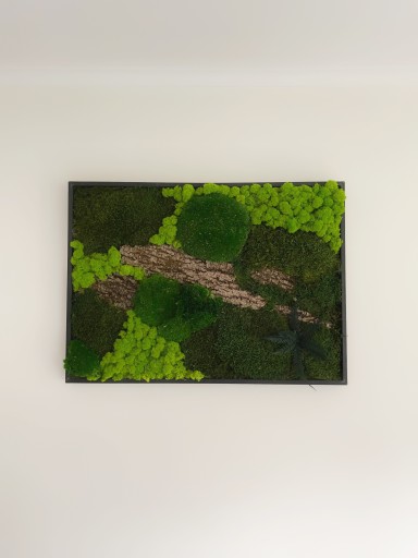 Zdjęcie oferty: Obraz z Mchu, las na ścianie