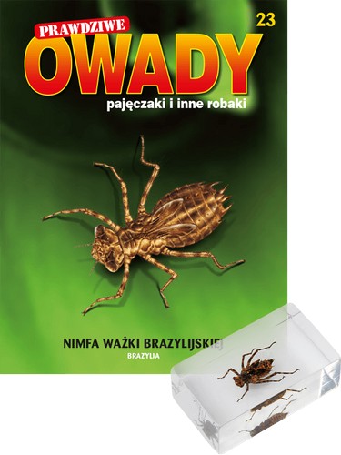 Zdjęcie oferty: PRAWDZIWE OWADY nr 23 + Nimfa ważki brazylijskiej