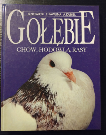 Zdjęcie oferty: Gołębie chów, hodowla, rasy