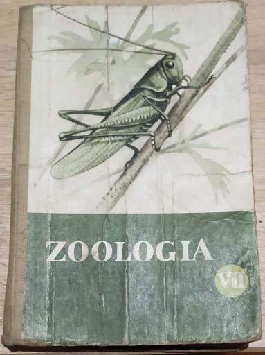 Zdjęcie oferty: Zoologia VII Zofia Wójcik