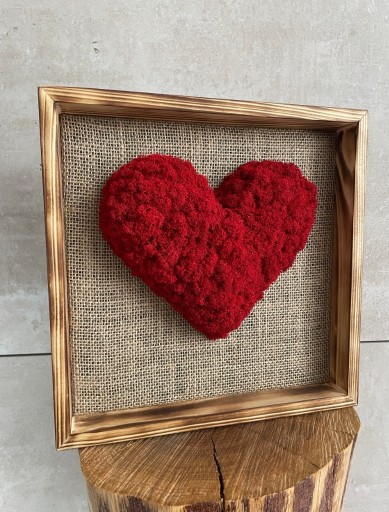 Zdjęcie oferty: Obraz czerwone serce z mchu 26 cm opalana rama