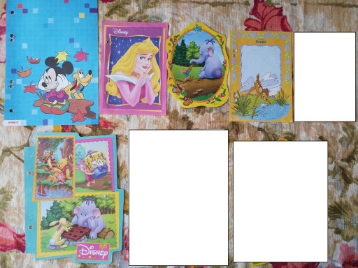 Zdjęcie oferty: Karteczki do segregatora Disney 17 sztuk