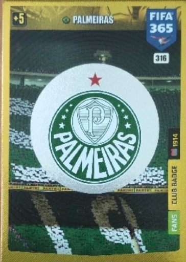 Zdjęcie oferty: FIFA 365 2020 TEAM MATE  - SE PALMEIRAS