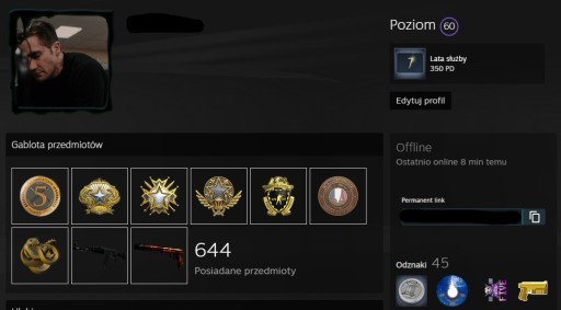 Zdjęcie oferty: Cs go   odznaki, 60lvl steam