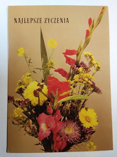 Zdjęcie oferty: Kwiaty kompozycja fot. Roman 1982 r.