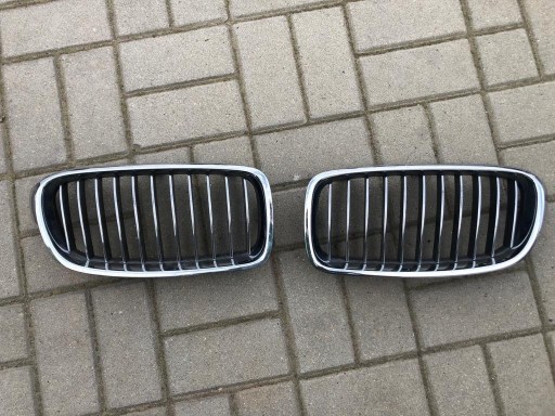 Zdjęcie oferty: Nerki grill, BMW F30/F31