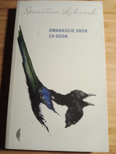 Zdjęcie oferty: Dwanascie srok Stanislaw Lubienski