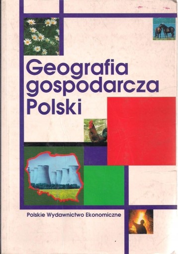 Zdjęcie oferty: Geografia Gospodarcza Polski Irena Fierla