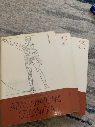 Zdjęcie oferty: Atlas anatomii człowieka