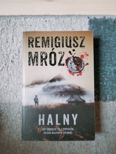 Zdjęcie oferty: Remigiusz Mróz-Halny