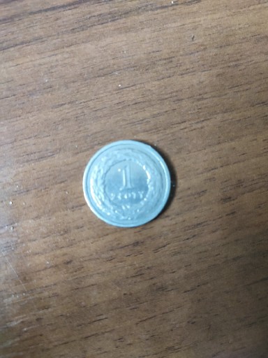 Zdjęcie oferty: 1 zł   moneta 1991 r. Złotówka 