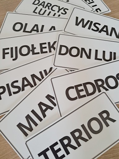 Zdjęcie oferty: Personalizowana tabliczka na boks 20x10cm biała