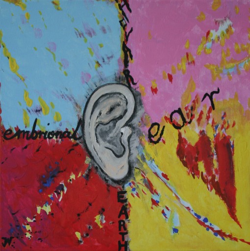 Zdjęcie oferty: Obraz "Ear"akryl na płótnie,40x40 by Joanna Wesolow (ska)