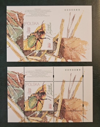 Zdjęcie oferty: Fi: 5302** AB ND. Biegacz wręgaty.