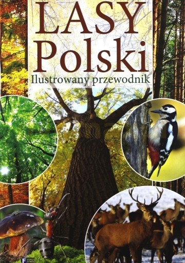 Zdjęcie oferty: Lasy Polski. Ilustrowany przewodnik Praca Zbiorowa