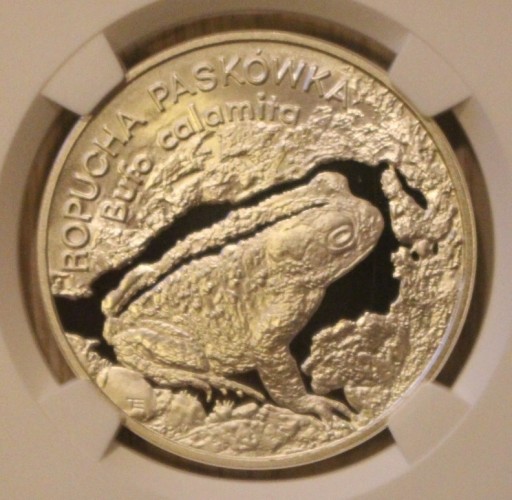 Zdjęcie oferty: 20 ZŁ 1998 ROPUCHA  NGC PF 70 - RZADKOŚĆ