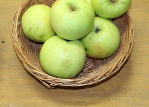 Zdjęcie oferty: Jabłoń stare odmiany Antonówka, Kosztela, Ananas