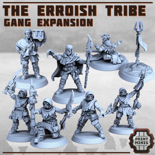 Zdjęcie oferty: The Erroish Tribe - Gang Expansion  x8