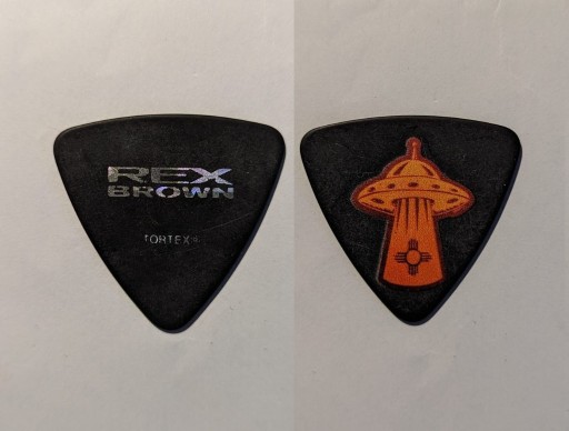 Zdjęcie oferty: Kostka Gitarowa - PANTERA Rex Brown 2023