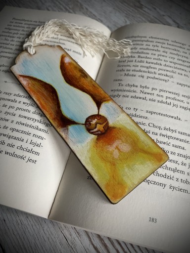 Zdjęcie oferty: Zakładka ręcznie malowana Harry Potter Quidditch