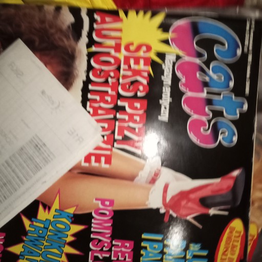 Zdjęcie oferty: Gazeta Cats  1991-1992-1993