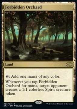 Zdjęcie oferty: Karta MTG Forbidden Orchard (2X2)